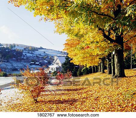 Farm in late autumn View Large Photo Image Stock Photo - Farm in late autumn. Fotosearch