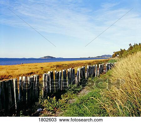 Stock Image - Fence along a shore. Fotosearch