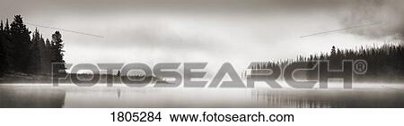Picture - Foggy scene. Fotosearch