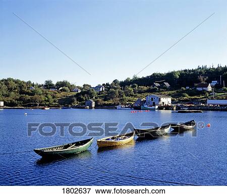 Four canoes lined up in the water close to shoreline View Large Photo Image Stock Photo - Four canoes lined up in the water close to shoreline. Fotosearch