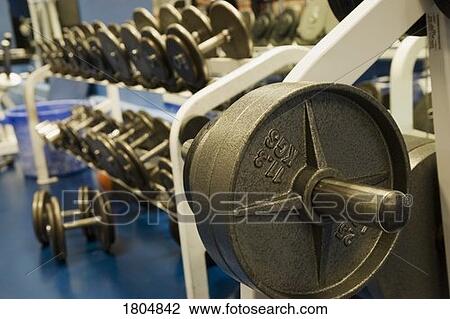 Stock Image - Free weights. Fotosearch