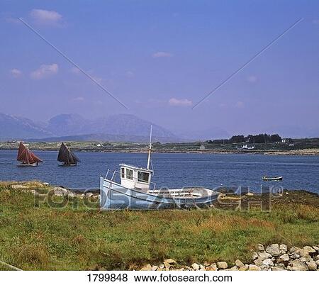Stock Photo - Galway Hooker at a regatta in County Galway, Ireland. Fotosearch