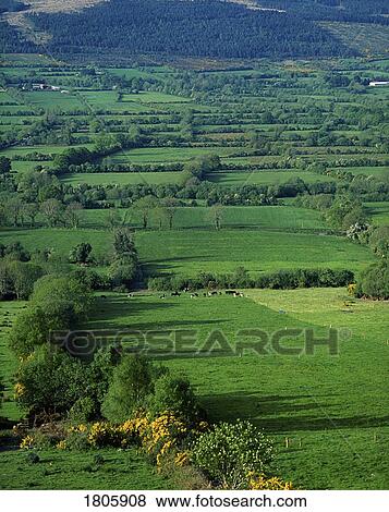 Glen Of Aherlow, Co Tipperary, Ireland View Large Photo Image Stock Photo - Glen Of Aherlow, Co Tipperary, Ireland. Fotosearch