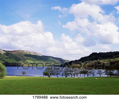Glencar Lake, Co. Leitrim, Ireland View Large Photo Image Stock Photo - Glencar Lake, Co. Leitrim, Ireland. Fotosearch