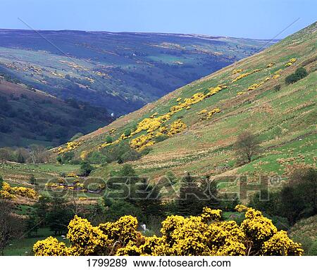 Glendun, Co. Antrim, Ireland View Large Photo Image Stock Photo - Glendun, Co. Antrim, Ireland. Fotosearch
