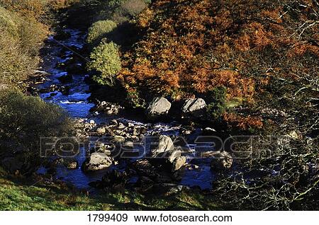 Glendun, Glens of Antrim, Co. Antrim, Ireland View Large Photo Image Stock Photo - Glendun, Glens of Antrim, Co. Antrim, Ireland. Fotosearch