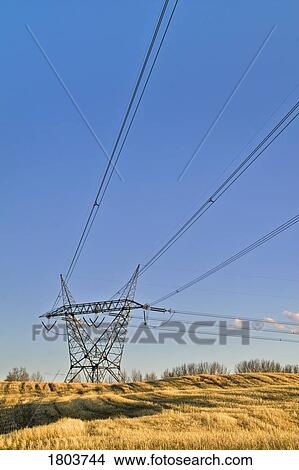 Picture - High tension tower in field . Fotosearch