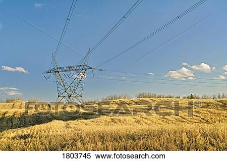 High tension tower in field with blue sky View Large Photo Image Stock Photography - High tension tower in field with blue sky . Fotosearch