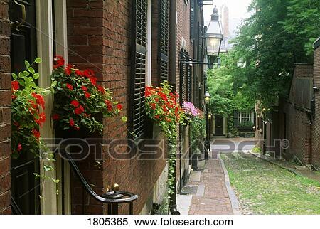 Historic Acorn Street in Boston, Massachusetts View Large Photo Image Stock Photography - Historic Acorn Street in Boston, Massachusetts. Fotosearch
