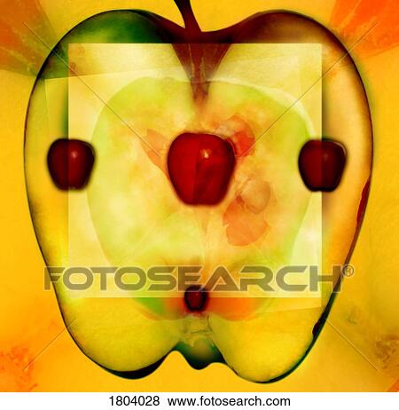Stock Photo - Illustration of an apple. Fotosearch