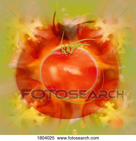 Stock Photography - Illustration of tomato. Fotosearch