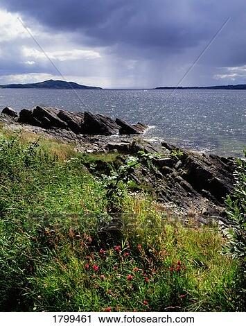 Stock Image - Inch Island, Lough Swilly, Co. Donegal, Ireland. Fotosearch