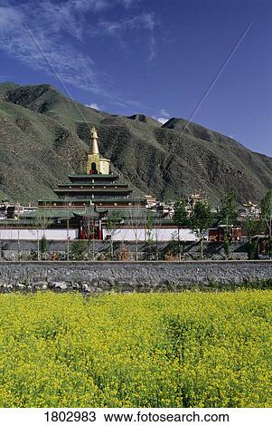 Labrang Monastery in Xiahe, China View Large Photo Image Stock Image - Labrang Monastery in Xiahe, China. Fotosearch