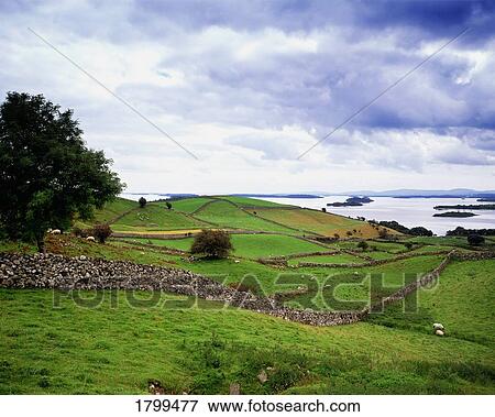 Landscape with Lough Corrib in the distance, Co. Galway, Ireland View Large Photo Image Stock Photo - Landscape with Lough Corrib in the distance, Co. Galway, Ireland. Fotosearch