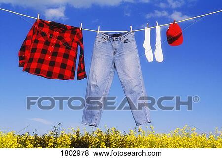 Stock Photo - Laundry drying on a clothes line over a canola field. Fotosearch
