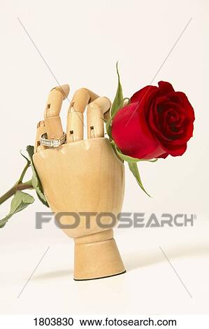 Stock Image - Mannequin hand holding a red rose. Fotosearch