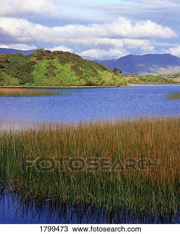 Middle Lake, Kylemore, Connemara, Co. Galway, Ireland View Large Photo Image Stock Image - Middle Lake, Kylemore, Connemara, Co. Galway, Ireland. Fotosearch