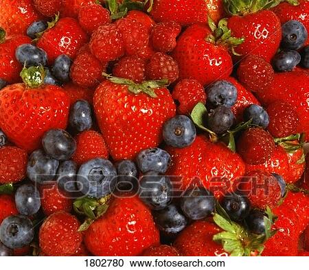 Mixed berries View Large Photo Image Stock Image - Mixed berries. Fotosearch