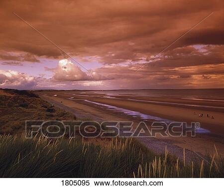 Murlough Nature Reserve, Dundrum, Co Down, Ireland View Large Photo Image Stock Photography - Murlough Nature Reserve, Dundrum, Co Down, Ireland. Fotosearch