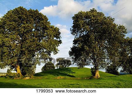 Navan Fort, Co. Armagh, Ireland View Large Photo Image Stock Image - Navan Fort, Co. Armagh, Ireland. Fotosearch