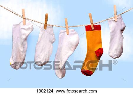 One colored sock hanging with white socks on a clothes line View Large Photo Image Picture - One colored sock hanging with white socks on a clothes line. Fotosearch