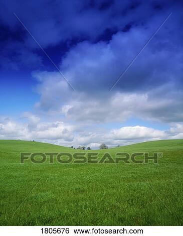 Stock Photograph - Pastoral, Green Meadow, Co Westmeath, Ireland. Fotosearch