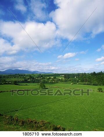Stock Image - Pastoral, Ireland. Fotosearch
