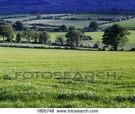 Pastoral, Ireland View Large Photo Image Stock Photo - Pastoral, Ireland. Fotosearch