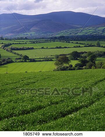 Pastoral, Ireland View Large Photo Image Stock Photo - Pastoral, Ireland. Fotosearch