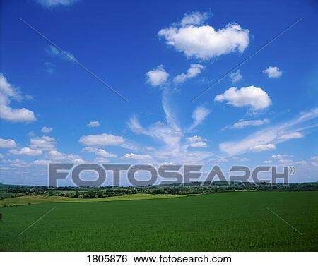 Pastoral, Kilcullen, Co Kildare, Ireland View Large Photo Image Stock Photograph - Pastoral, Kilcullen, Co Kildare, Ireland. Fotosearch