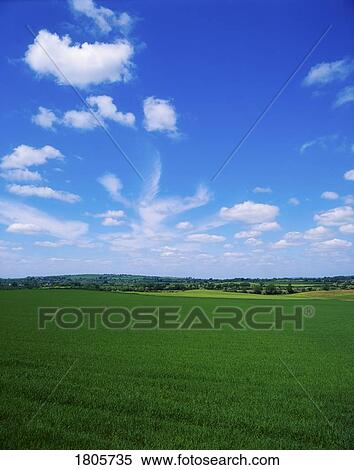 Pastoral, Kilcullen, Co Kildare, Ireland View Large Photo Image Stock Photography - Pastoral, Kilcullen, Co Kildare, Ireland. Fotosearch