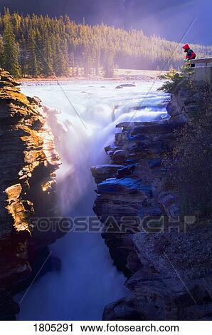 Person viewing Athabasca Falls in the early morning View Large Photo Image Stock Image - Person viewing Athabasca Falls in the early morning . Fotosearch