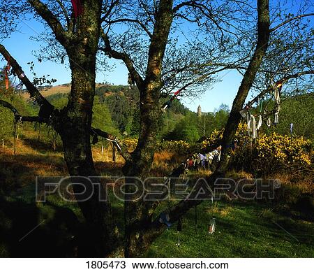 Prayer Tree, Glendalough, Co Wicklow, Ireland View Large Photo Image Stock Image - Prayer Tree, Glendalough, Co Wicklow, Ireland. Fotosearch