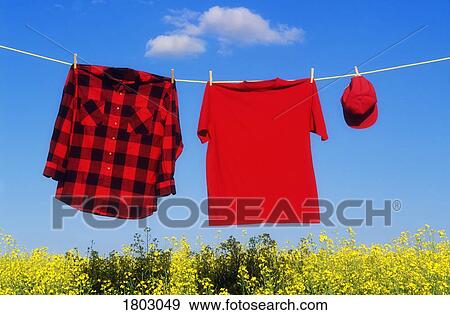 Stock Photo - Red clothes hanging on clothes line over a canola field . Fotosearch