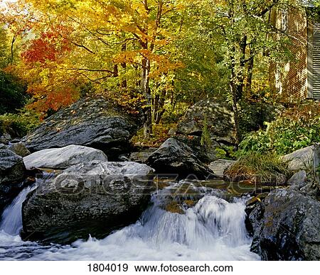 River in autumn View Large Photo Image Stock Photo - River in autumn. Fotosearch