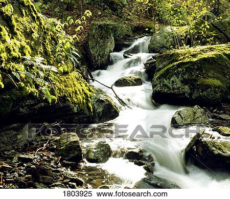 River with rocks in the forest View Large Photo Image Stock Photography - River with rocks in the forest. Fotosearch