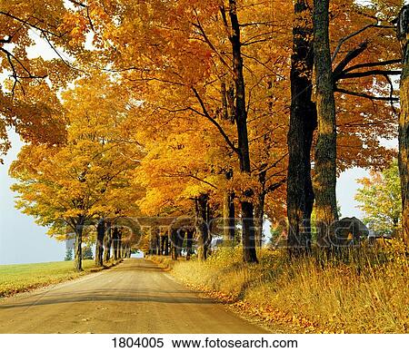 Stock Photography - Road in autumn, eastern townships, Quebec, Canada. Fotosearch