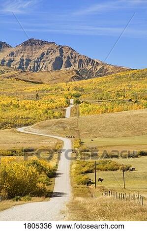 Stock Photograph - Road into the mountains, Alberta, Canada . Fotosearch