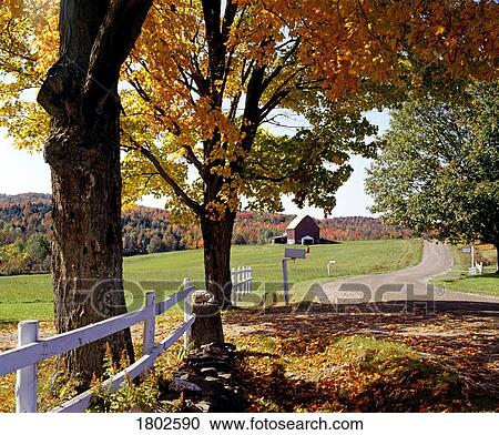 Rural autumn landscape View Large Photo Image Stock Image - Rural autumn landscape. Fotosearch