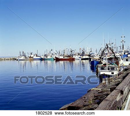 Scallop boats, Digby, Nova Scotia View Large Photo Image Stock Photo - Scallop boats, Digby, Nova Scotia . Fotosearch