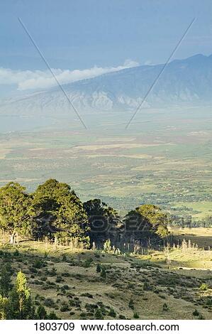 Scenic view of the Isthmus and West Maui Mountains, Hawaii, USA View Large Photo Image Stock Photo - Scenic view of the Isthmus and West Maui Mountains, Hawaii, USA . Fotosearch