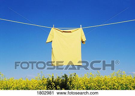 Shirt hanging to dry on clothesline View Large Photo Image Stock Image - Shirt hanging to dry on clothesline. Fotosearch