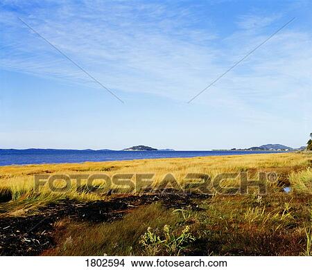 Picture - Shore of the St. Lawerence river. Fotosearch