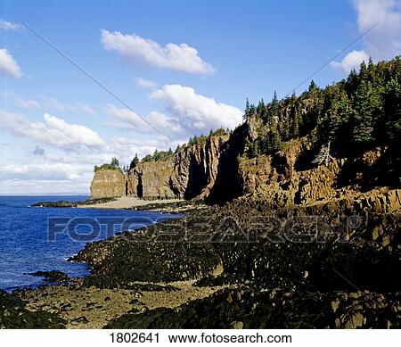 Shoreline with rocky cliffs and forest above View Large Photo Image Stock Image - Shoreline with rocky cliffs and forest above. Fotosearch