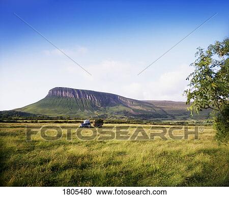 Silage Cutting, Ben Bulben, Co Sligo, Ireland View Large Photo Image Stock Image - Silage Cutting, Ben Bulben, Co Sligo, Ireland. Fotosearch