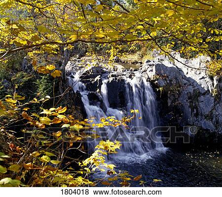 Small waterfall among trees View Large Photo Image Stock Photo - Small waterfall among trees. Fotosearch