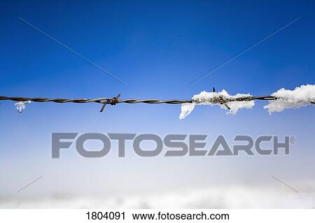 Snow melting from barbed-wire fence View Large Photo Image Stock Image - Snow melting from barbed-wire fence. Fotosearch