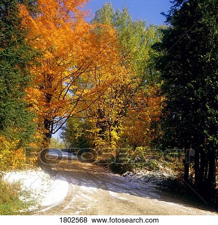 Stock Photo - Soft focus autumn scene . Fotosearch