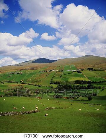 Sperrin Mountains, Co Tyrone, Ireland View Large Photo Image Stock Image - Sperrin Mountains, Co Tyrone, Ireland. Fotosearch