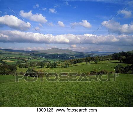 Stock Photograph - Sperrin Mountains in County Tyrone, Ireland. Fotosearch